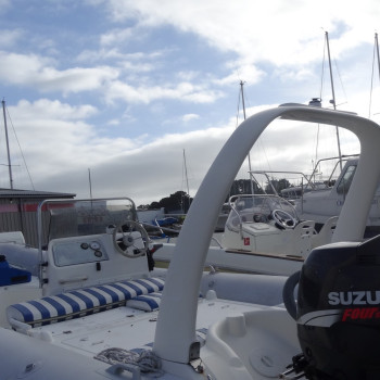 Purchase Zodiac Medline 2 winter cover