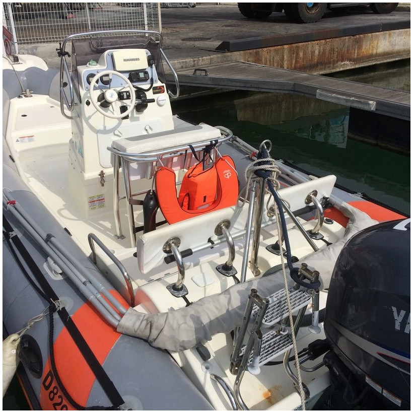 Purchase Zodiac Pro Open 650 winter cover