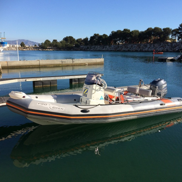 Purchase Zodiac Pro Open 650 winter cover