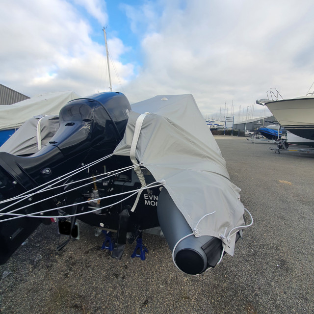 Purchase Tarpon DV 65 winter cover