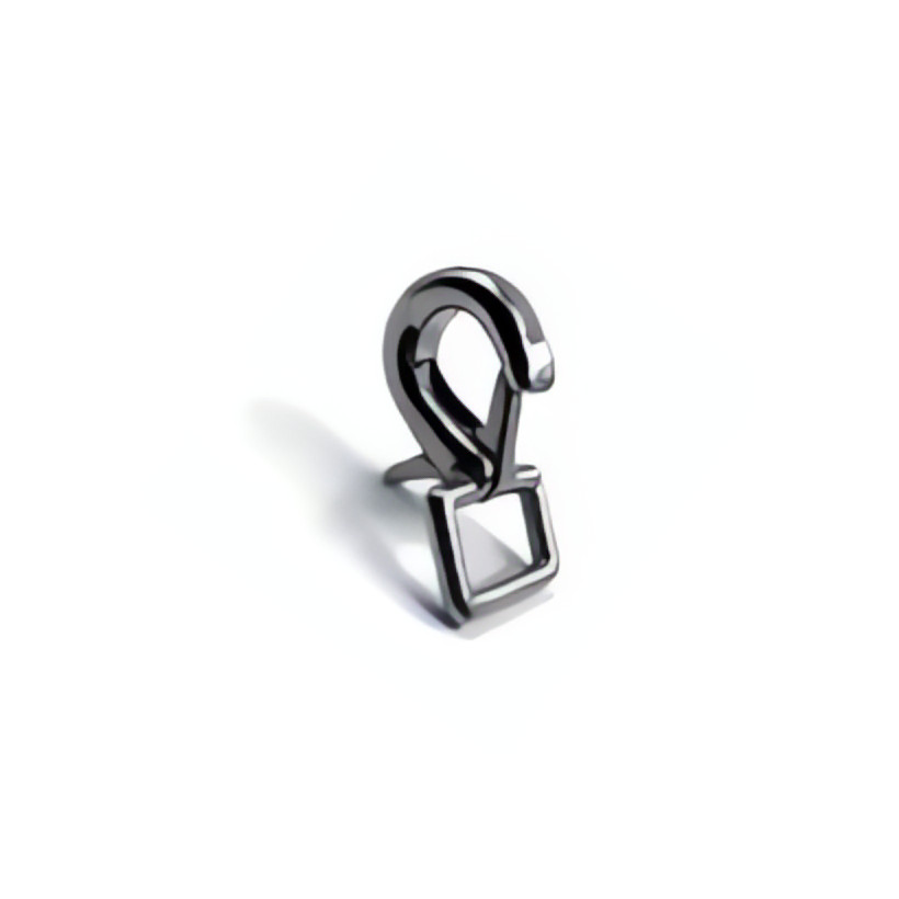 Purchase Stainless steel carabiner with strap - large model
