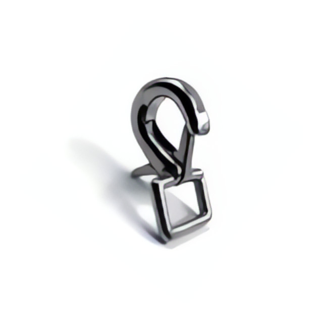 Purchase Stainless steel carabiner with strap - large model