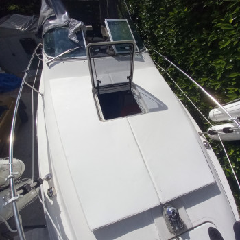 Purchase Sea Ray Sundancer 230 Sun Lounger Cushion