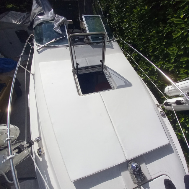 Purchase Sea Ray Sundancer 230 Sun Lounger Cushion