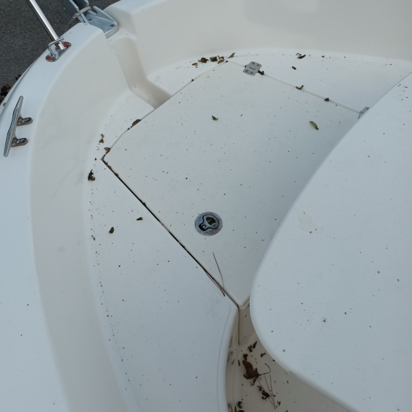 Purchase Sunbed cushion Jeanneau Cap Camarat 545 WA