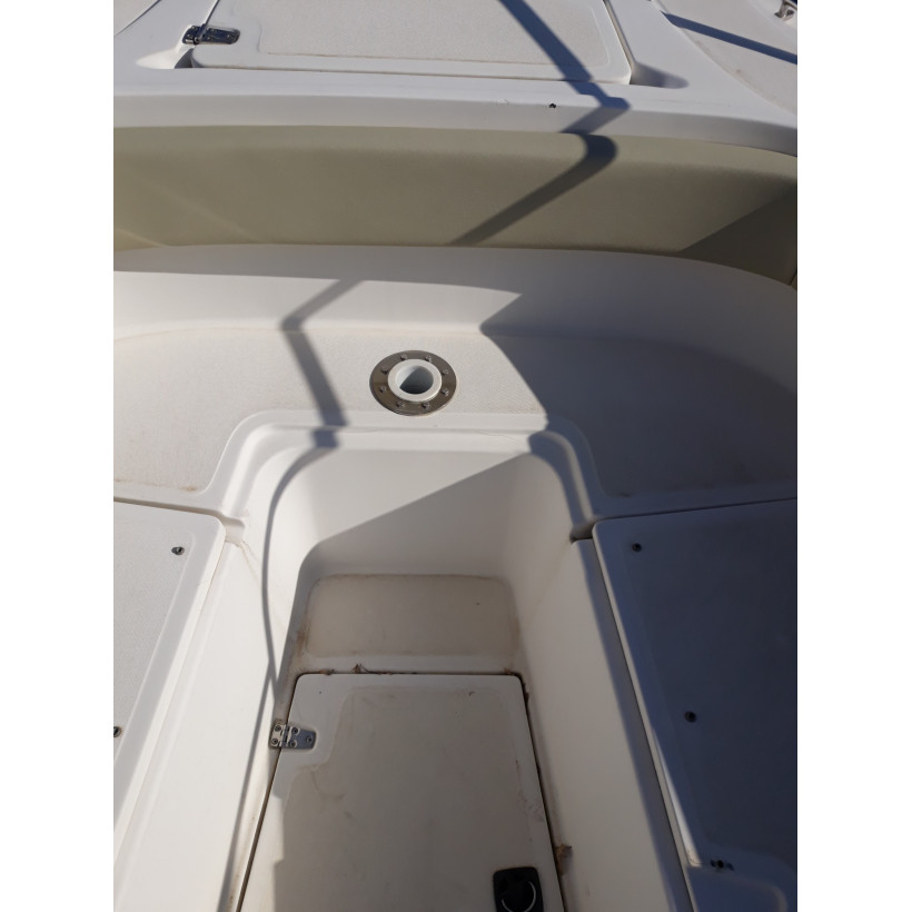 Purchase Boston Whaler 260 Outrage Cushion