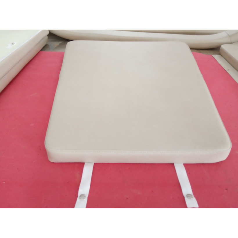 Purchase Boston Whaler 260 Outrage Cushion