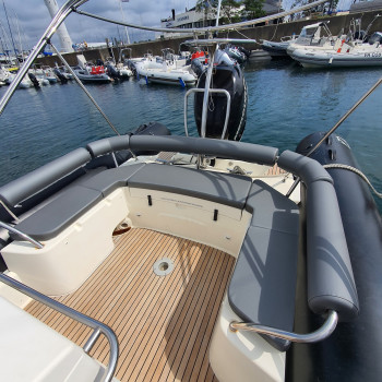Achat Coussin  Zodiac Medline IV