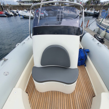 Achat Coussin  Zodiac Medline IV