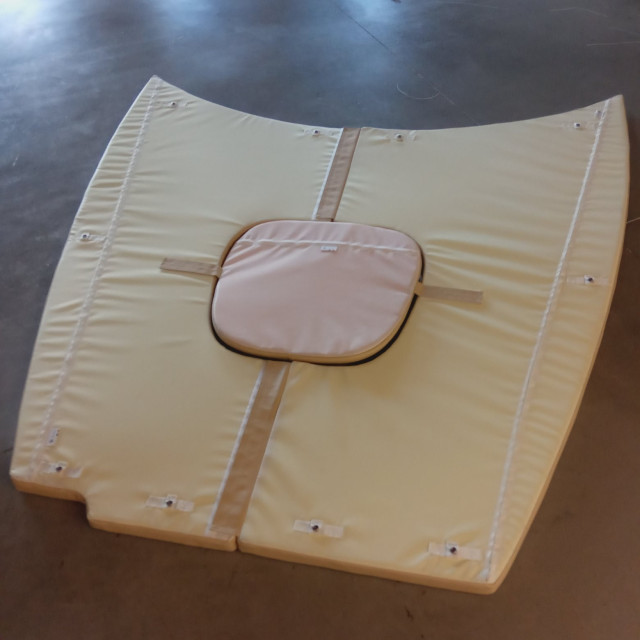 Purchase Sea Ray Sundancer 255 Sun Lounger Cushion