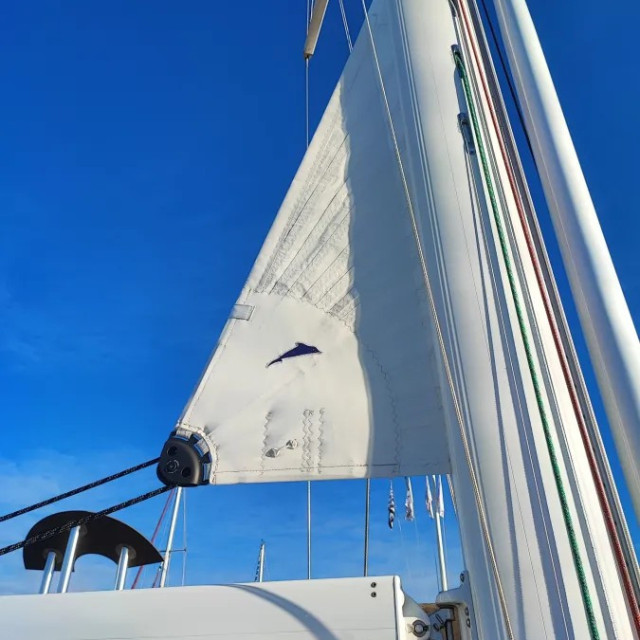 Purchase Mainsail Triangle Protection on Roller Furler