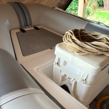 Purchase Bow cushion Zodiac Cherokee 480