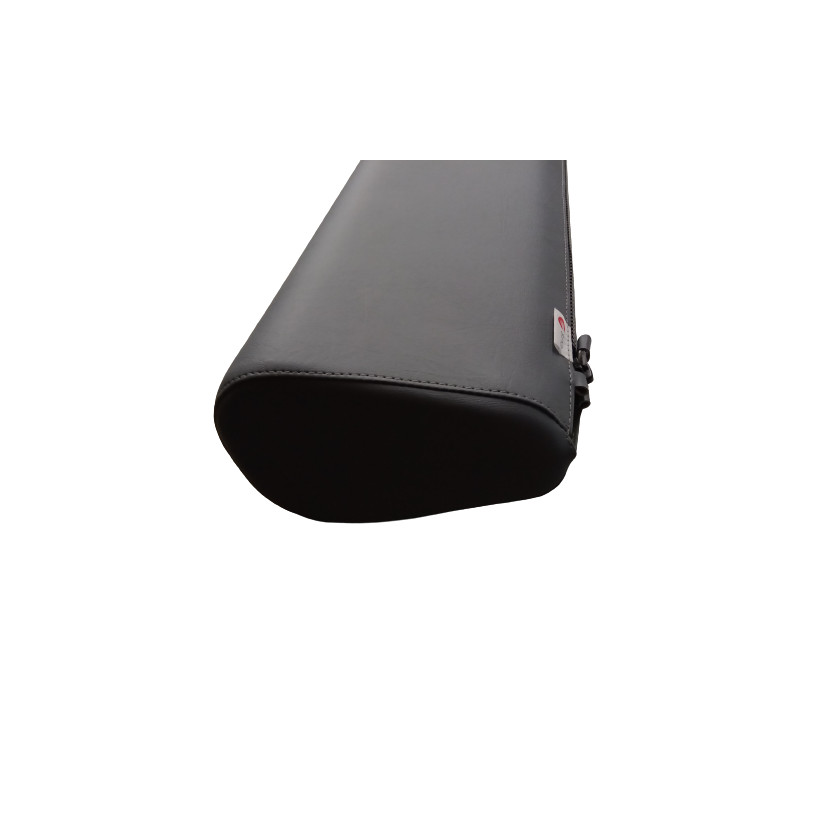 Purchase Zeppelin S1000 File