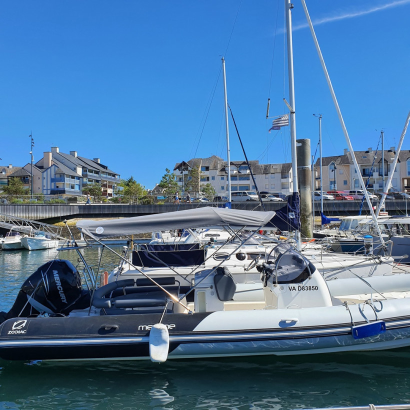 Purchase Bimini Zodiac Medline IV