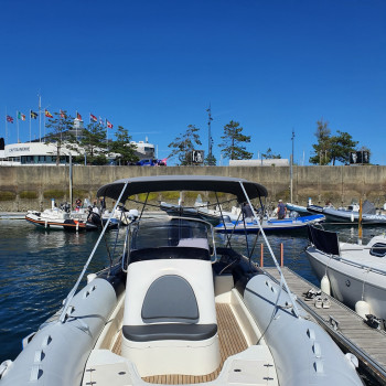 Purchase Bimini Zodiac Medline IV