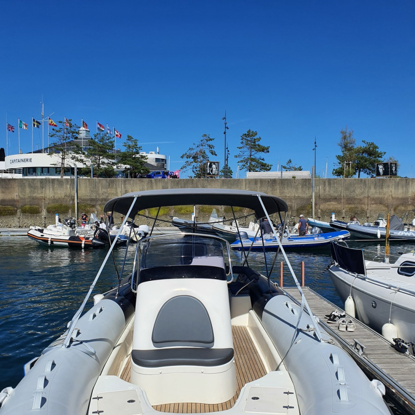 Purchase Bimini Zodiac Medline IV