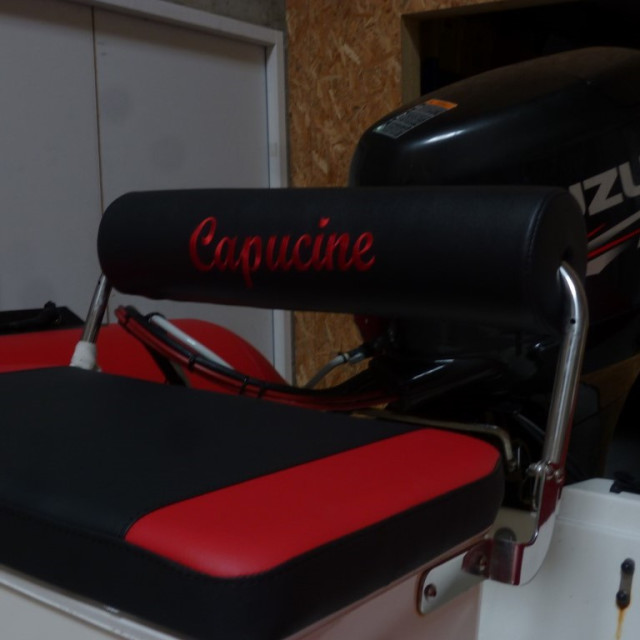 Purchase Pilot seat back cushion Zodiac Pro 9 Man